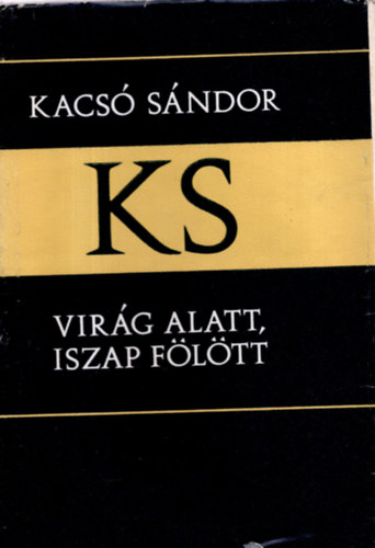 Kacs� S�ndor: - Vir�g alatt, iszap f�l�tt