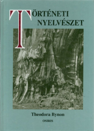 Trtneti nyelvszet