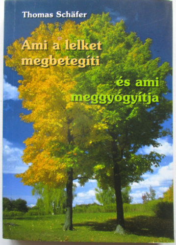 Ami a lelket megbetegti s ami meggygytja