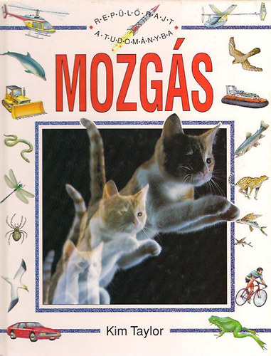 Mozgs (Repl rajt a tudomnyba)