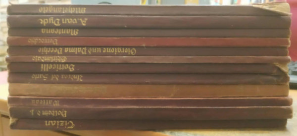 12 db Knstler-Monographien: Michelangelo + A. Van Dyck + Mantegna + Verrocchio + Giorgione und Palma Vecchio + Ghirlandaio + Botticelli + Andrea del Sarto + Ludwig Richter + Watteau + Holbein der Jngere + Tizian