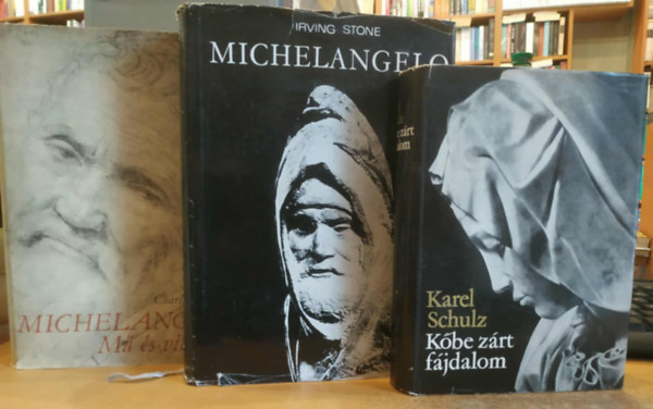 3 db festészet-művészet: Kőbe zárt fájdalom + Michelangelo + Michelangelo: Mű és világkép
