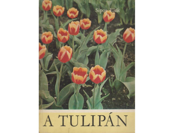 A tulipn  A tulipn termesztse - A tulipn szaportsa - A tulipnltetvny tli gondozsa - A tulipnltetvny gondozsa a tenyszidben (Mellklettel.)