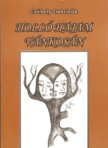 Holl� Hajam v�nkos�n