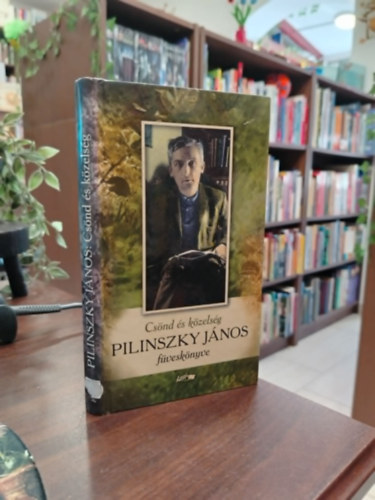 Pilinszky J�nos - Cs�nd �s k�zels�g - Pilinszky J�nos f�vesk�nyve