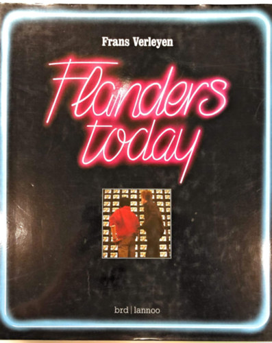 Frans Verleyen - Flanders today