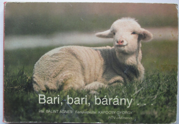 Bari, bari, brny...