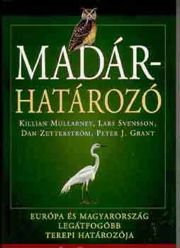 Madrhatroz