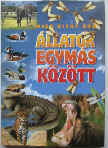 �llatok egym�s k�z�tt