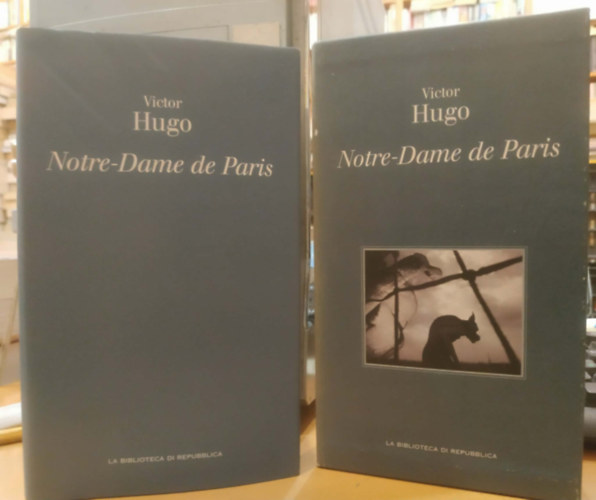 Victor Hugo - Notre-Dame de Paris (francia)