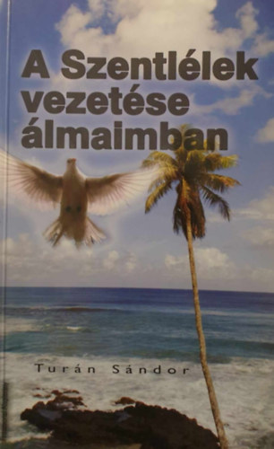 A Szentllek vezetse lmaimban