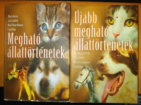 Meghat� �llatt�rt�netek + �jabb meghat� �llatt�rt�netek