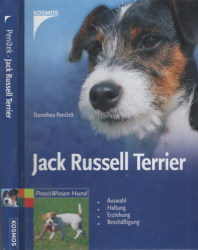 Jack Russell Terrier