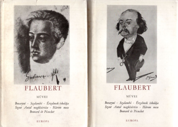 Flaubert mvei I-II.
