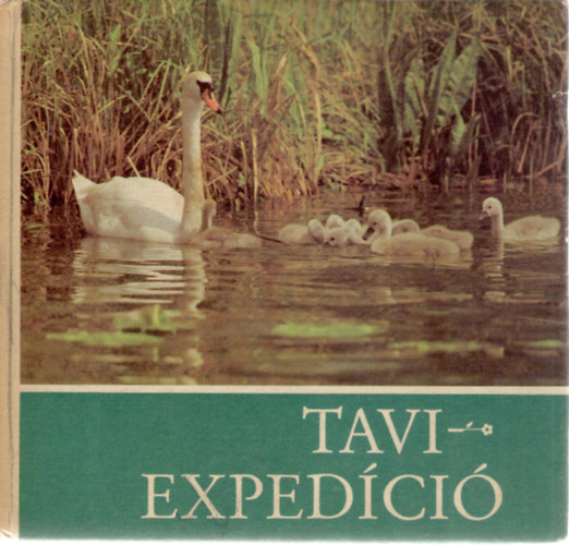 Tavi expedci