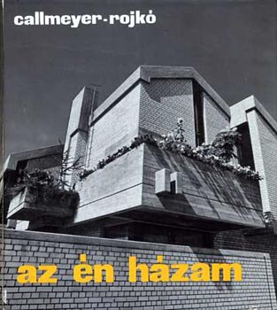 Az n hzam