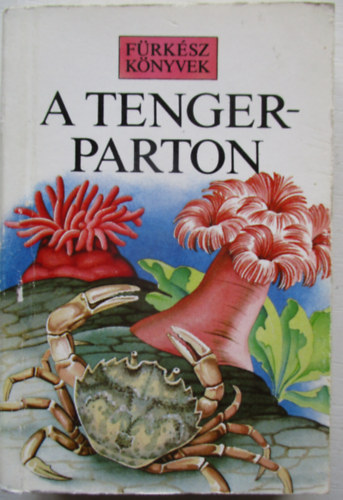 A tengerparton - (Frksz Knyvek)