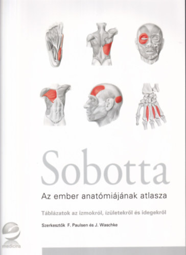 Sobotta - Az ember anat�mi�j�nak atlasza - T�bl�zatok az izmokr�l, �z�letekr�l �s idegekr�l
