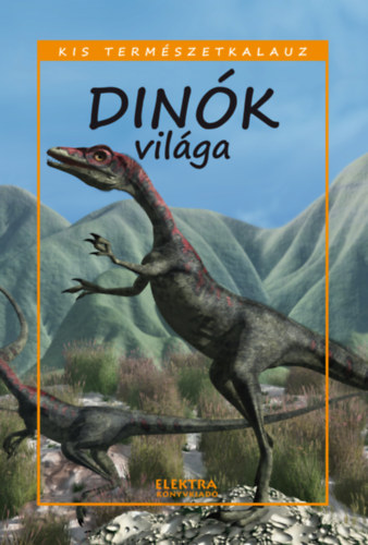 Dink vilga