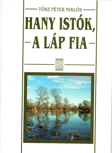 Hany Ist�k, a�l�p fia