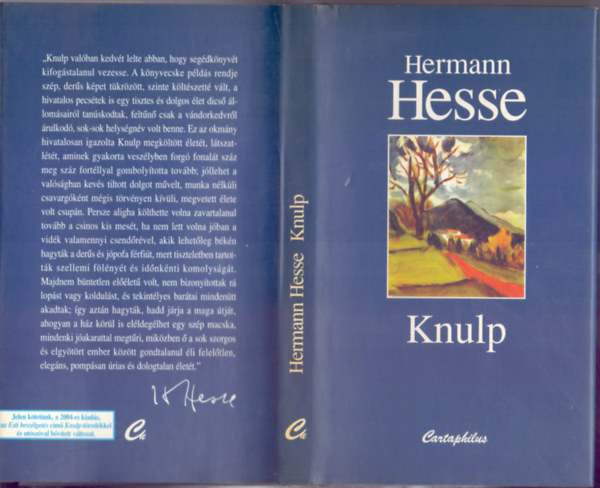 Knulp (H�rom t�rt�net Knulp �let�b�l)