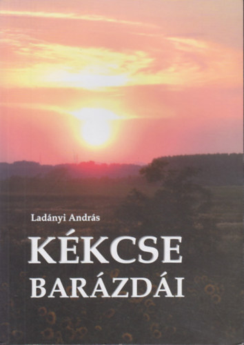 Kkcse barzdi