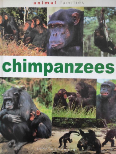 John Woodward - Chimpanzees