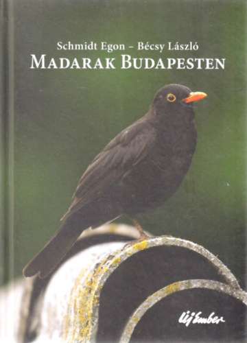 Madarak Budapesten