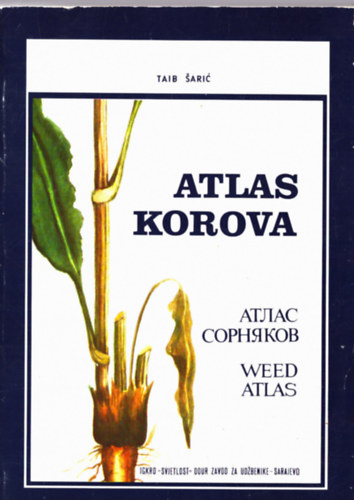 Atlas Korova - Weed atlas (nvnyatlasz)