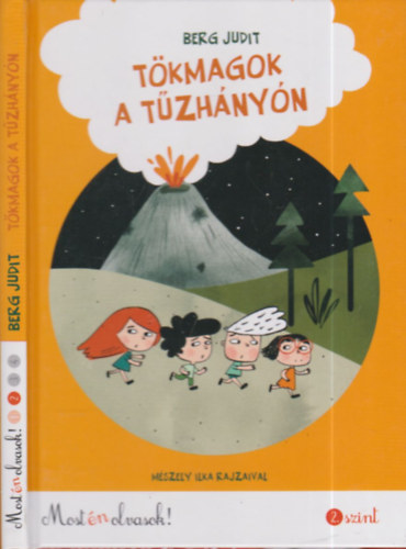 Berg Judit - Tkmagok a tzhnyn