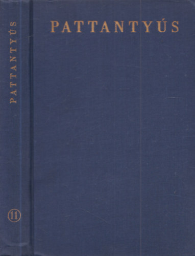 Pattanty�s g�p�sz- �s villamosm�rn�k�k k�zik�nyve 11. - Vezet�kes h�rad�stechnika II. gyakorlati ismeretek