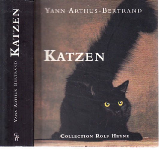 Katzen