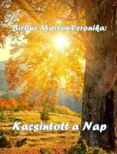 Bíróné Marton Veronika - Kacsintott a nap