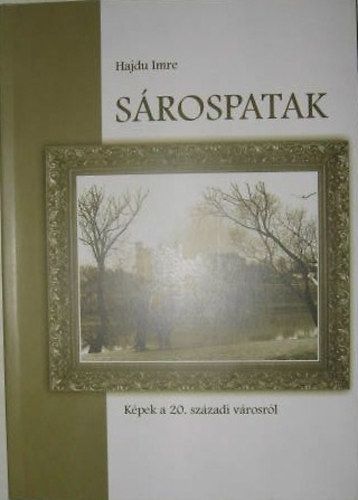Srospatak - Kpek a 20. szzadi vrosrl