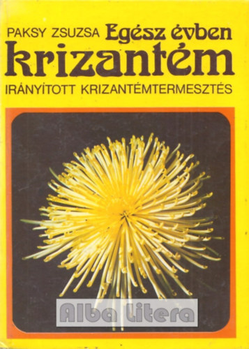 Egsz vben krizantm (irnytott krizantmtermeszts)