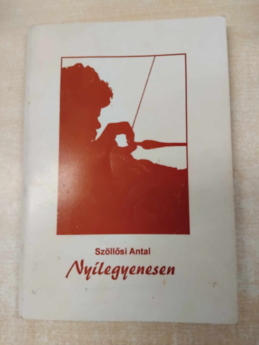 Nylegyenesen