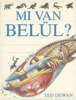 Mi van bell?