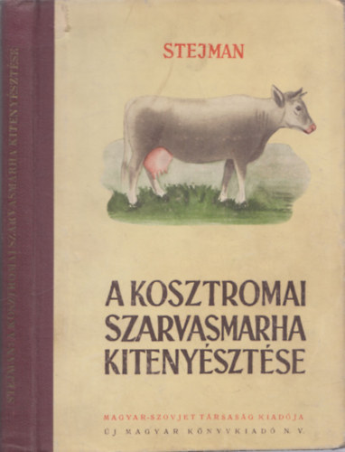 A kosztromai szarvasmarha kitenysztse