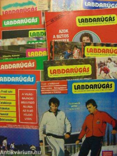 Labdargs 1981/1-12 Teljes!