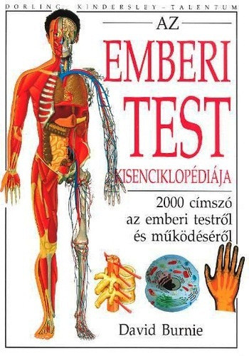 Az emberi test kisenciklop�di�ja