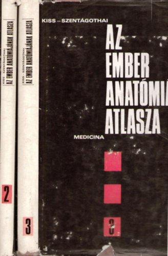Az ember anatmijnak atlasza II-III.